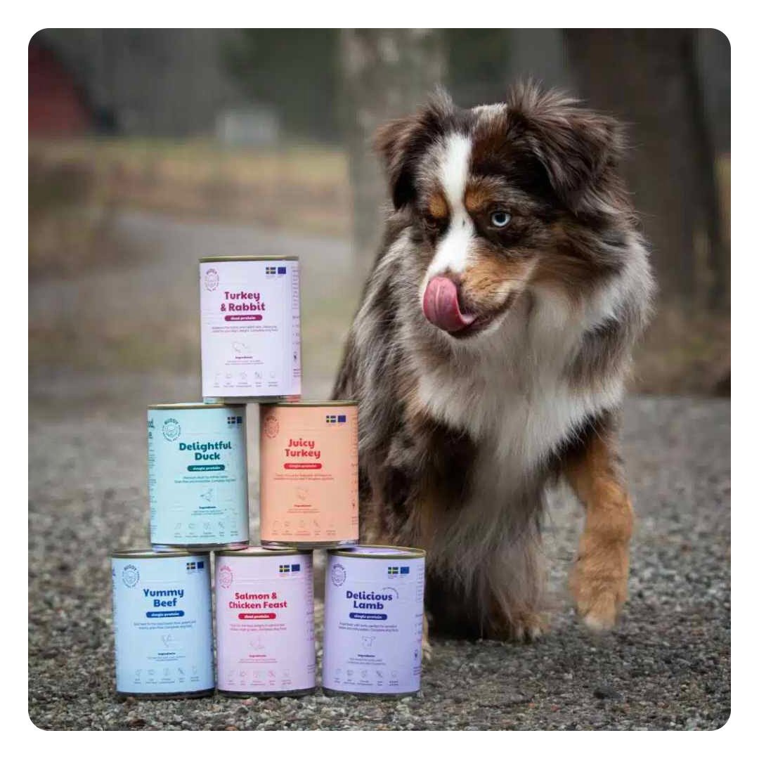 Buddy Vådfoder Delightful Duck 400 g - Billede 3