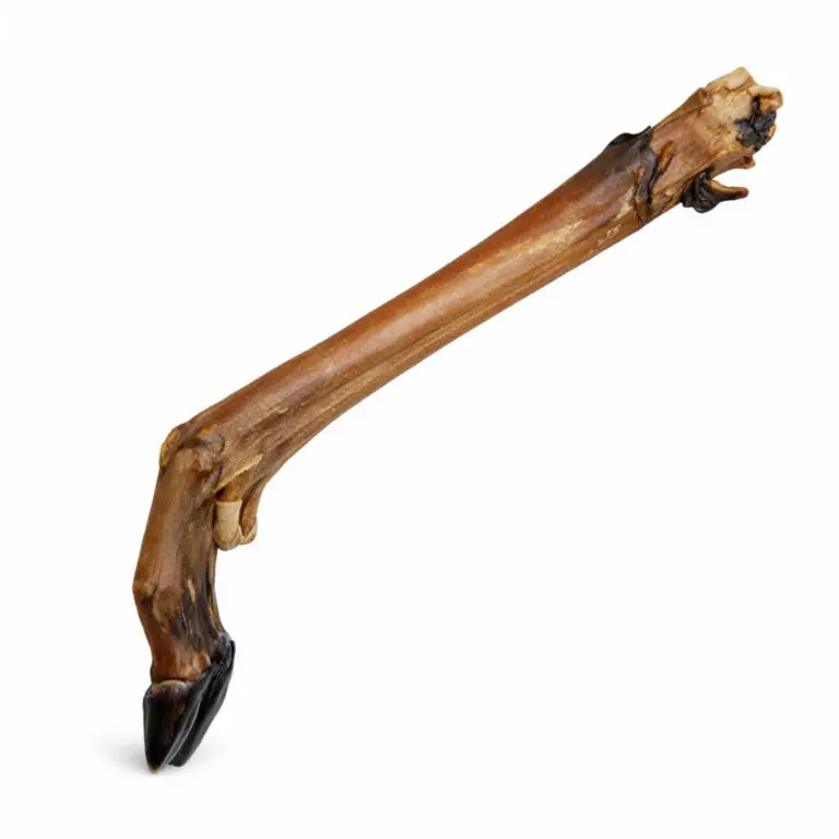 Lufttørret Underben Rådyr Natursnack