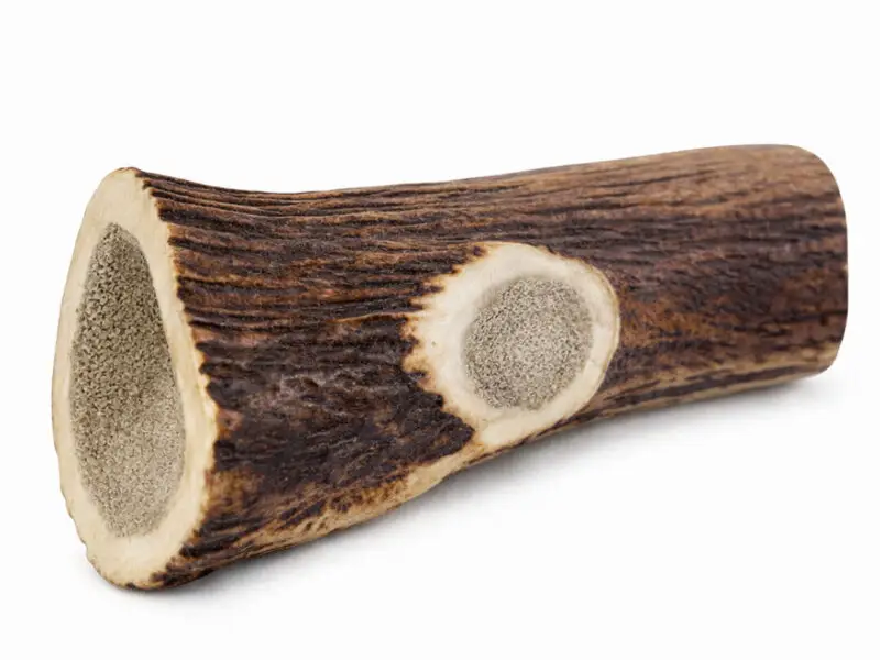 Highland Antler Hjorte Gevir Hel Jumbo