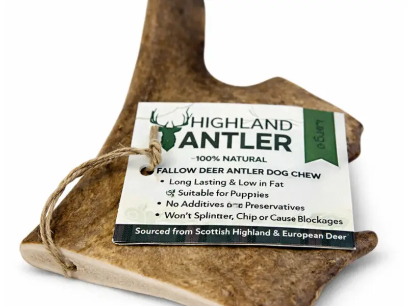 Highland Antler Dådyr Gevir Flad Large