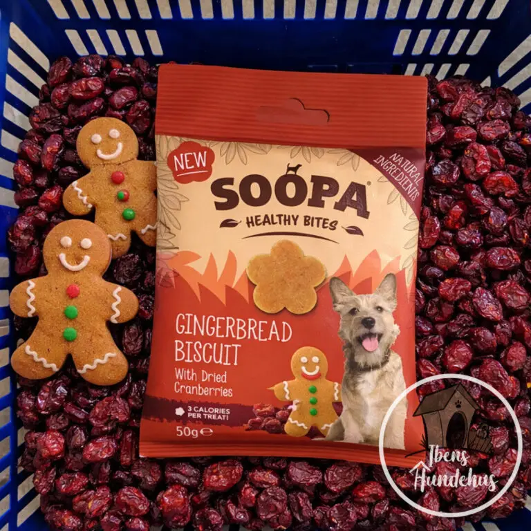 Soopa Healthy Bites Gingerbread Biscuit Vegansk Hundegodbid