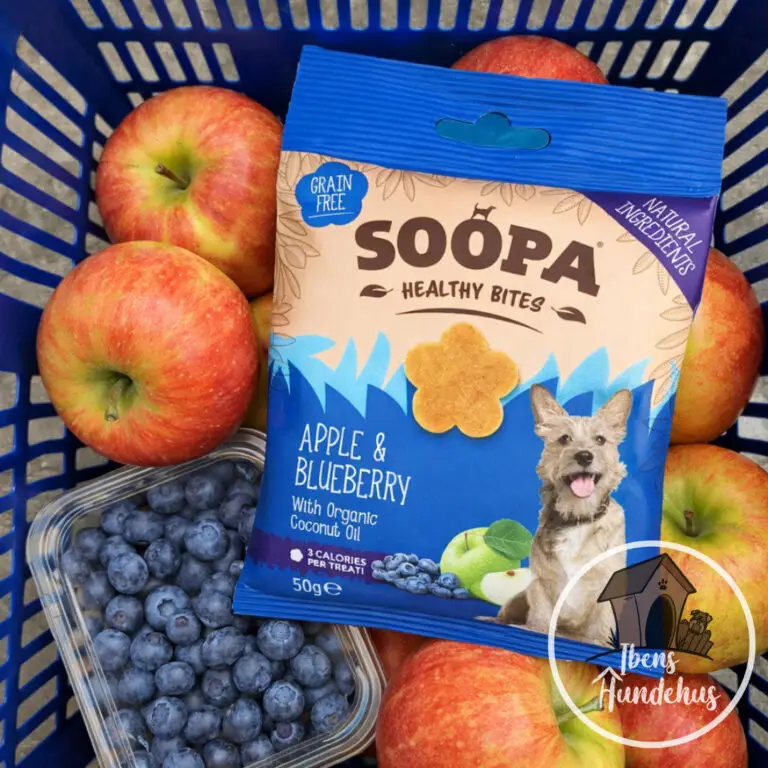 Soopa Healthy Bites Æble & Blåbær Vegansk Hundegodbid