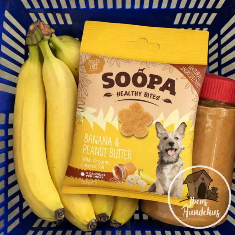 Soopa Healthy Bites Banan & Peanut Butter Vegansk Hundegodbid