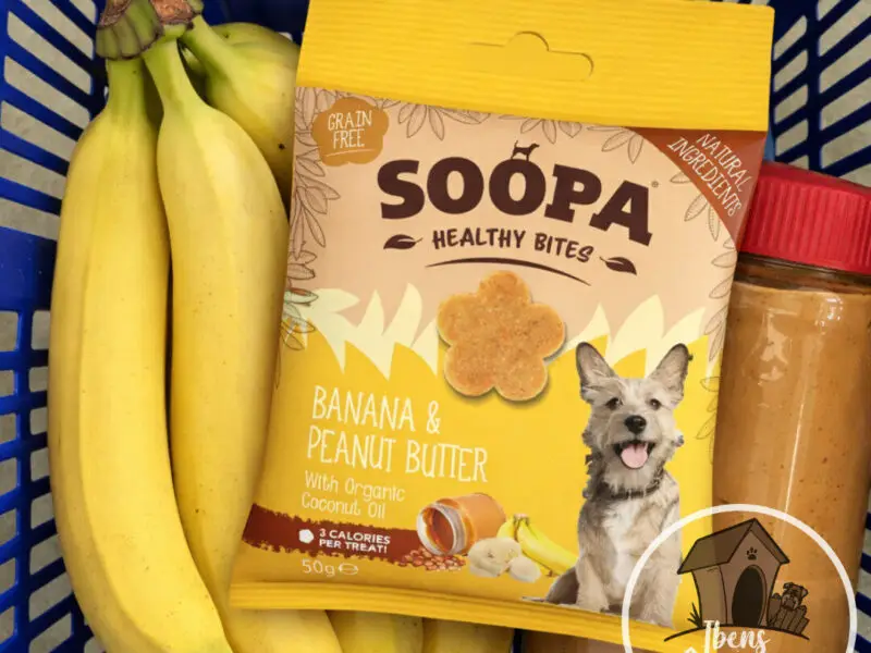 Soopa Healthy Bites Banan & Peanut Butter Vegansk Hundegodbid
