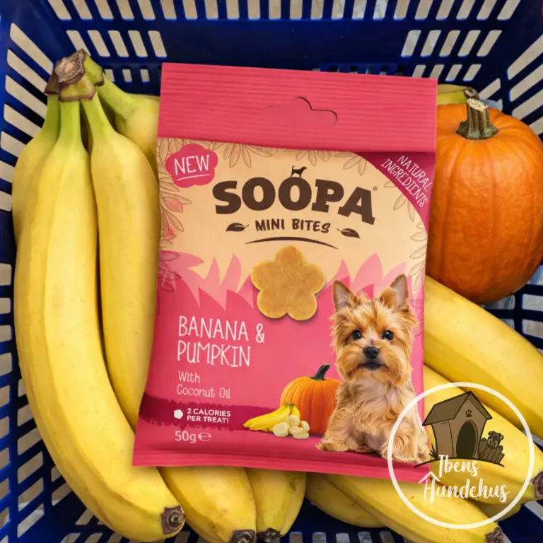 Soopa Healthy Bites Mini Banan & Græskar Vegansk Hundegodbid