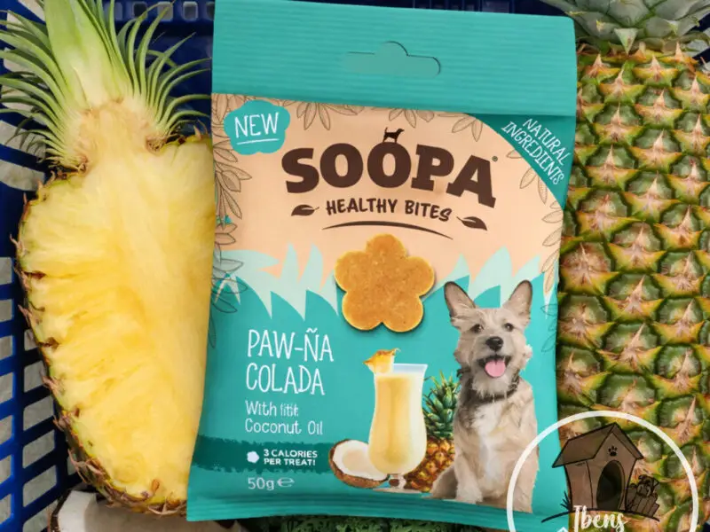 Soopa Healthy Bites Kokos & Ananas Vegansk Hundegodbid