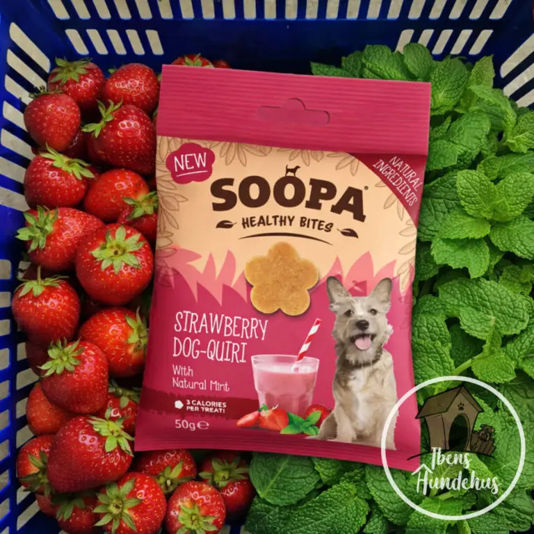 Soopa Healthy Bites Jordbær & Mynte Vegansk Hundegodbid