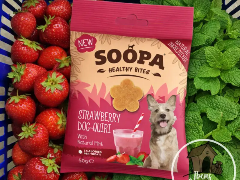 Soopa Healthy Bites Jordbær & Mynte Vegansk Hundegodbid