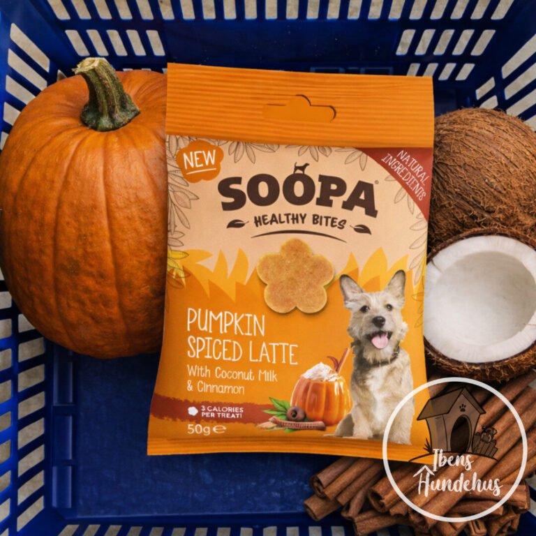 Soopa Healthy Bites Pumpkin Spiced Latte Vegansk Hundegodbid