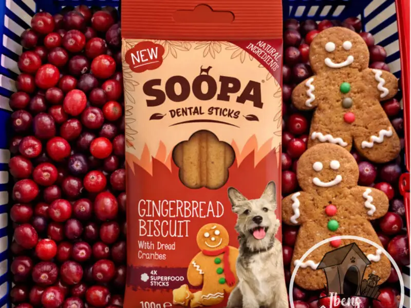 Soopa Sticks Gingerbread Biscuit Vegansk Hundegodbid