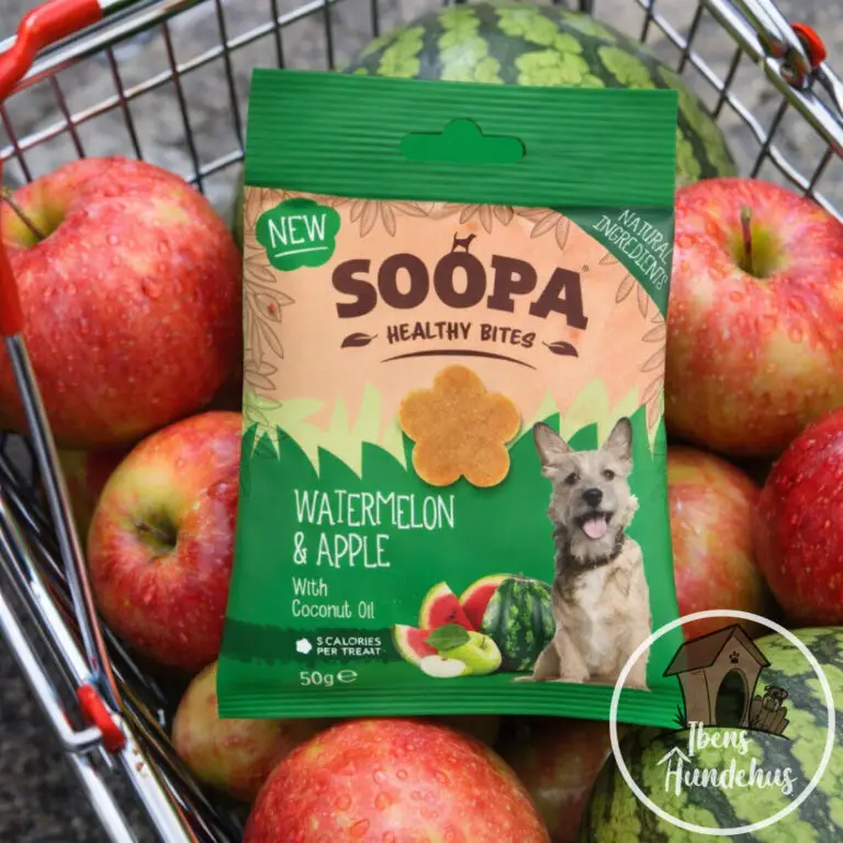 Soopa Healthy Bites Vandmelon & Æble Vegansk Hundegodbid