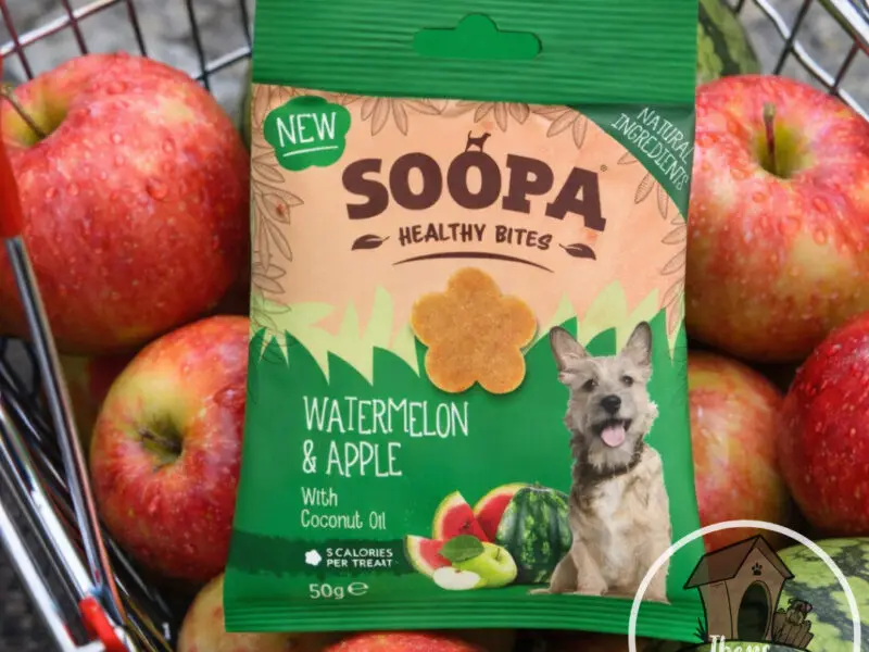 Soopa Healthy Bites Vandmelon & Æble Vegansk Hundegodbid