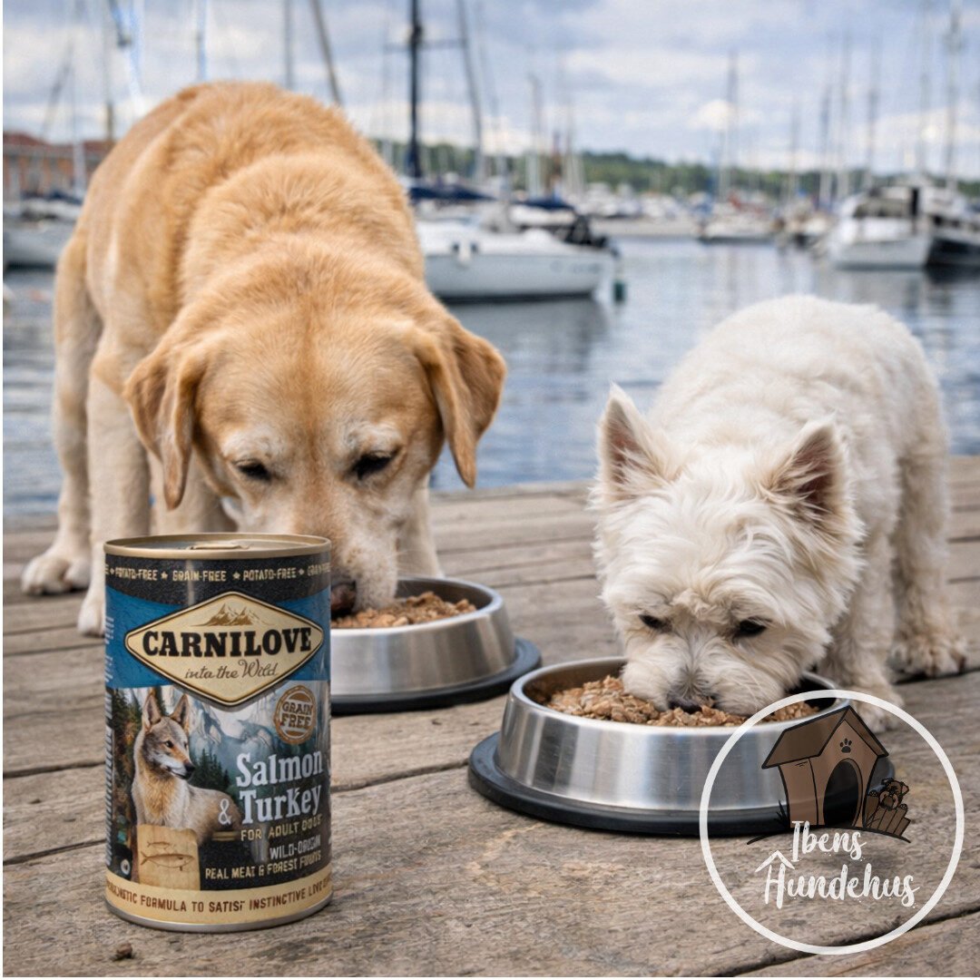 Carnilove Vådfoder Laks & Kalkun 400 g - Billede 2