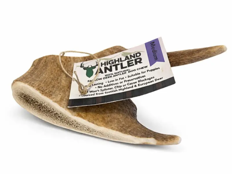 Highland Antler Dådyr Gevir Flad Medium