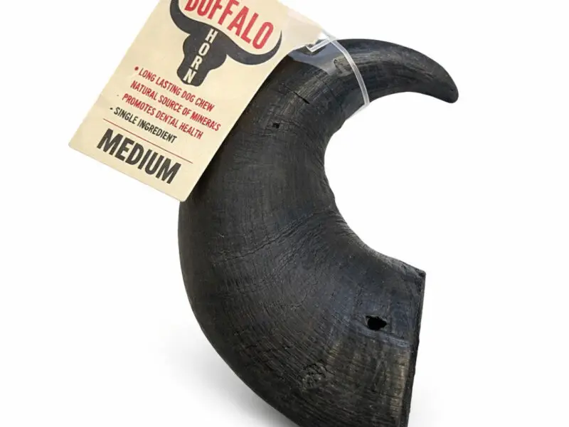 Buffalo Horn Bøffelhorn Medium
