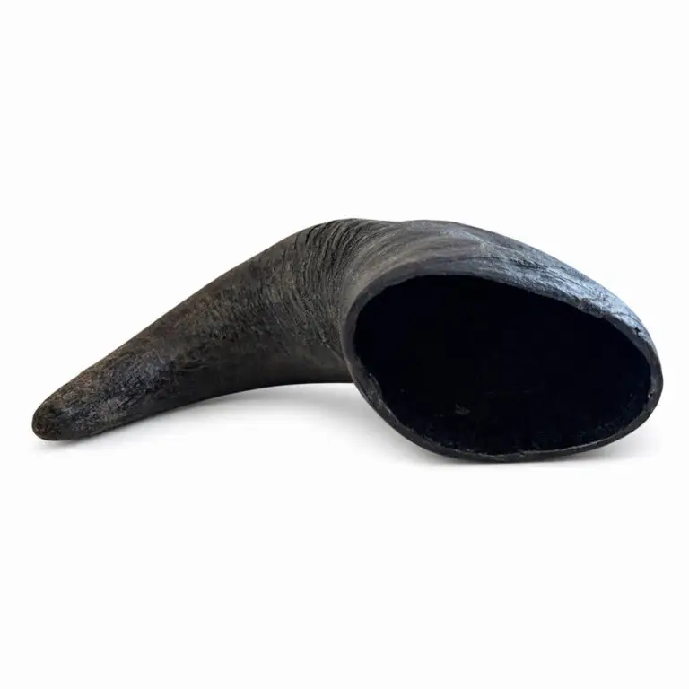 Buffalo Horn Bøffelhorn Medium