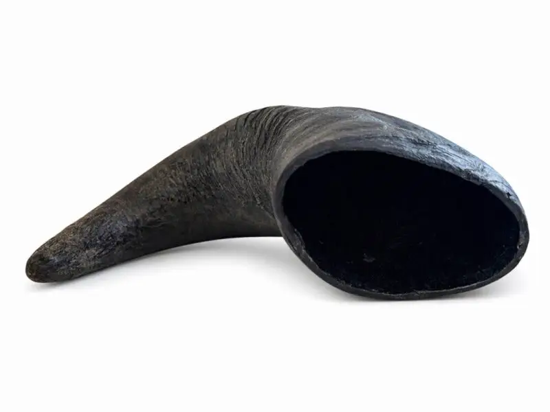 Buffalo Horn Bøffelhorn Medium