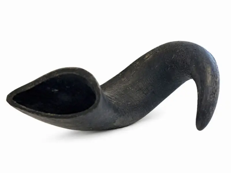 Buffalo Horn Bøffelhorn Large
