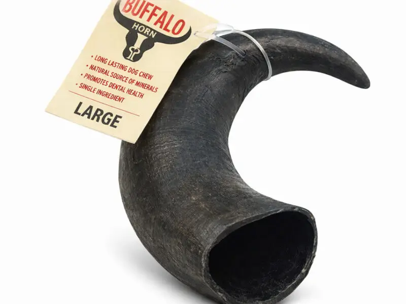 Buffalo Horn Bøffelhorn Large