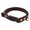 Fenriz Halsbånd Webbing Brun / Messing