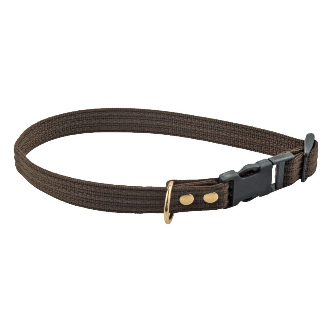 Fenriz Halsbånd Webbing Brun / Messing