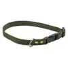 Fenriz Halsbånd Webbing Grøn / Messing