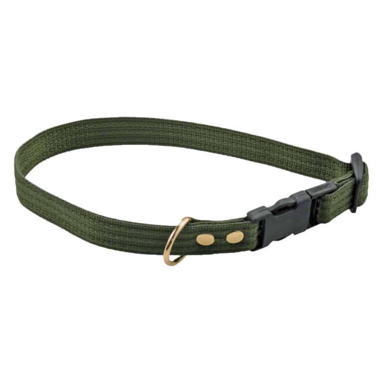 Fenriz Halsbånd Webbing Grøn / Messing