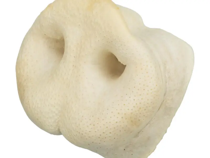 Grisetryne Puffede Natursnack