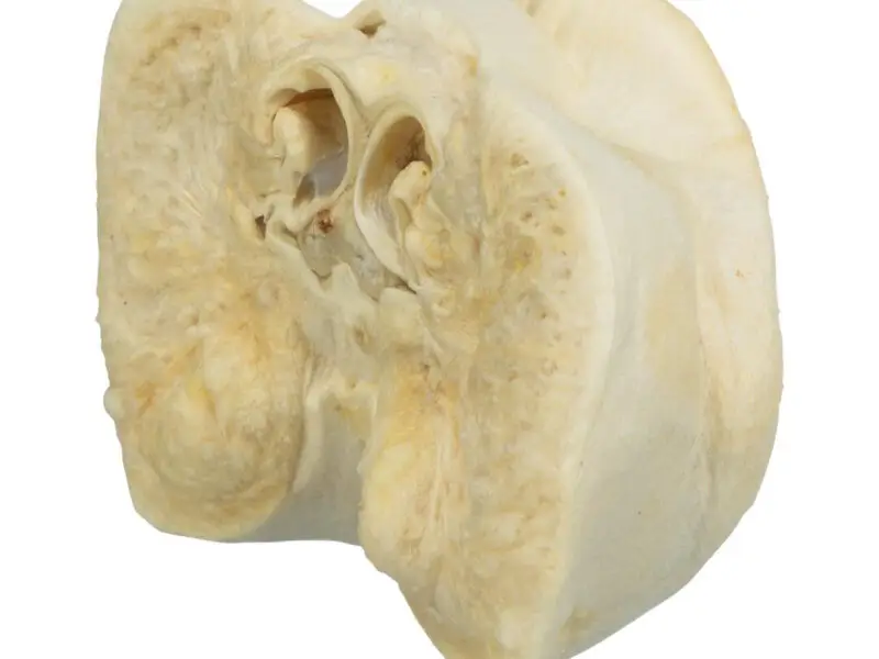 Grisetryne Puffede Natursnack