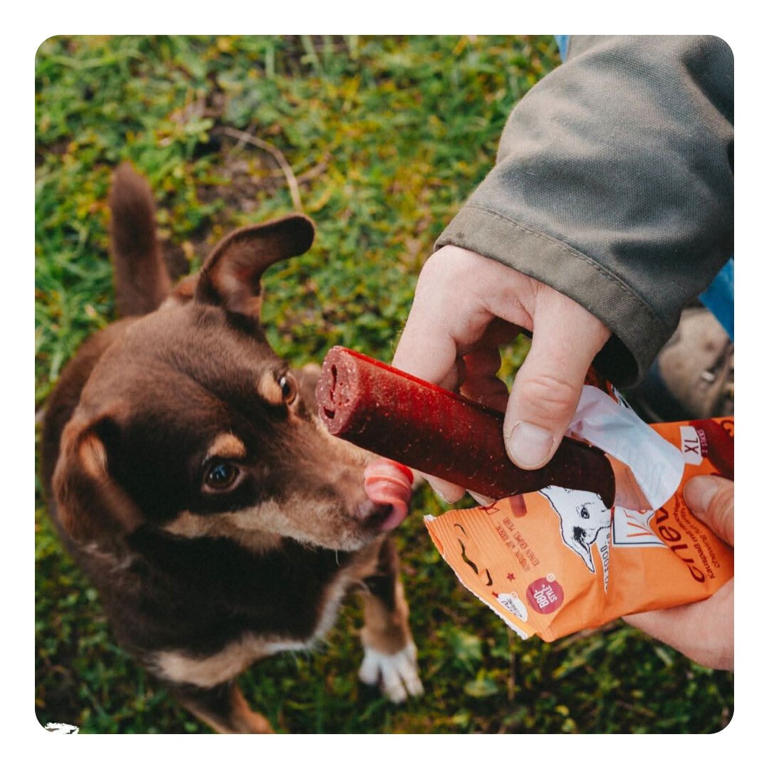 VegDog XL Chevvies Vegansk Godbid Tyggestænger - Billede 2