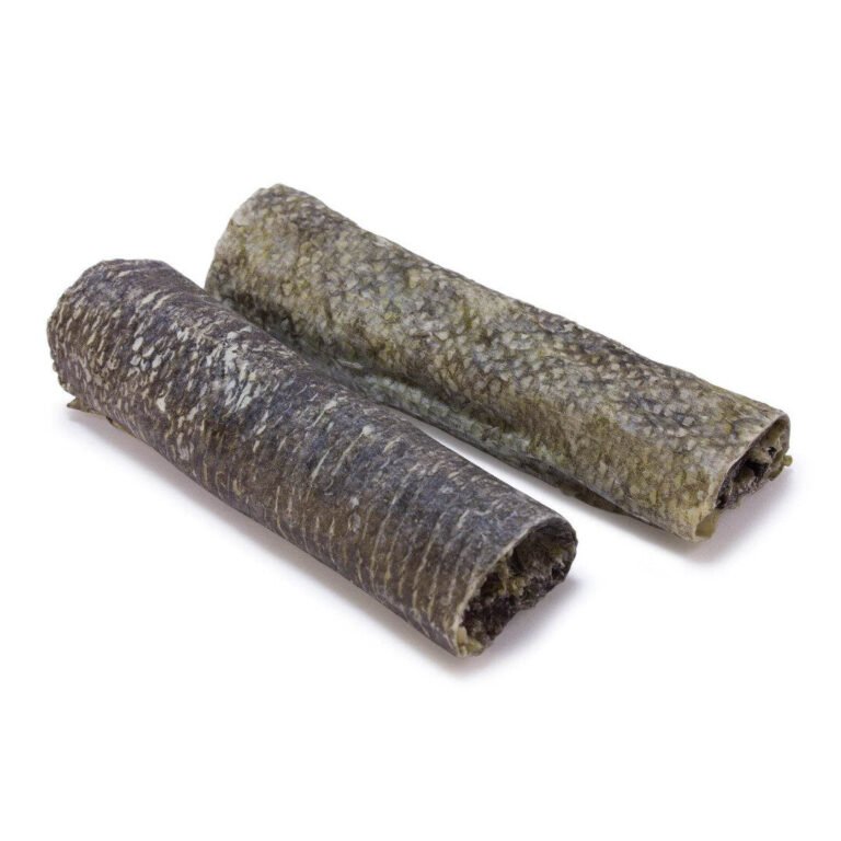 Arquivet Massiv Tyggestang Torskeskind 10 cm