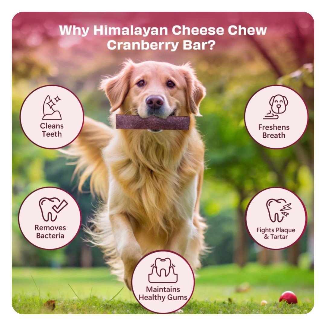 Himalaya Tyggeben Yaki Osteben Med Tranebær