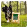 Essential Hundefoder Superior Living 10 kg