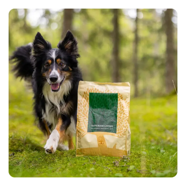 Essential Hundefoder Superior Living 10 kg