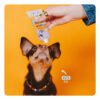 VegDog Lever Vurst Tubesnack Vegansk Godbid 75 g