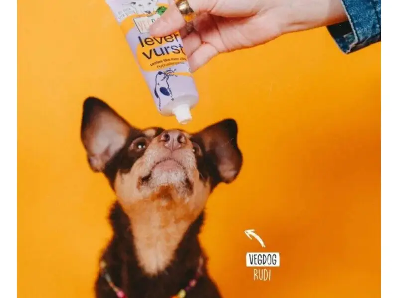 VegDog Lever Vurst Tubesnack Vegansk Godbid 75 g