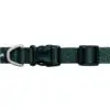 Ruffwear Halsbånd Front Range Flex Deep Teal