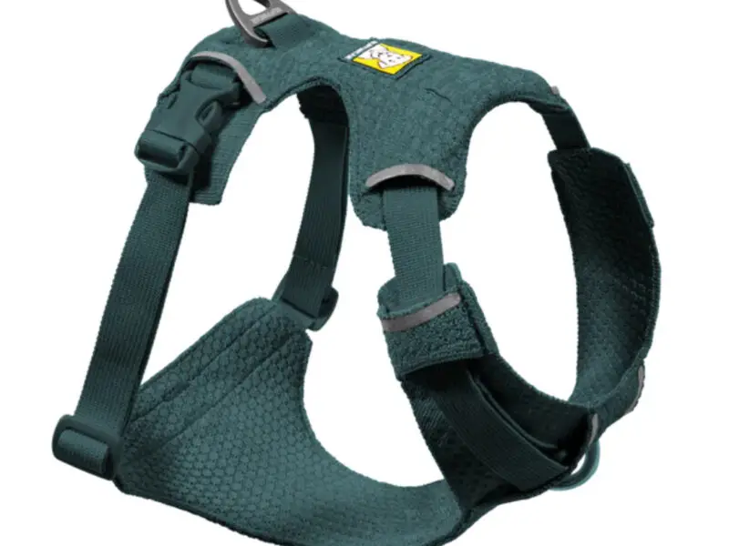 Ruffwear Hundesele Front Range Flex Deep Teal