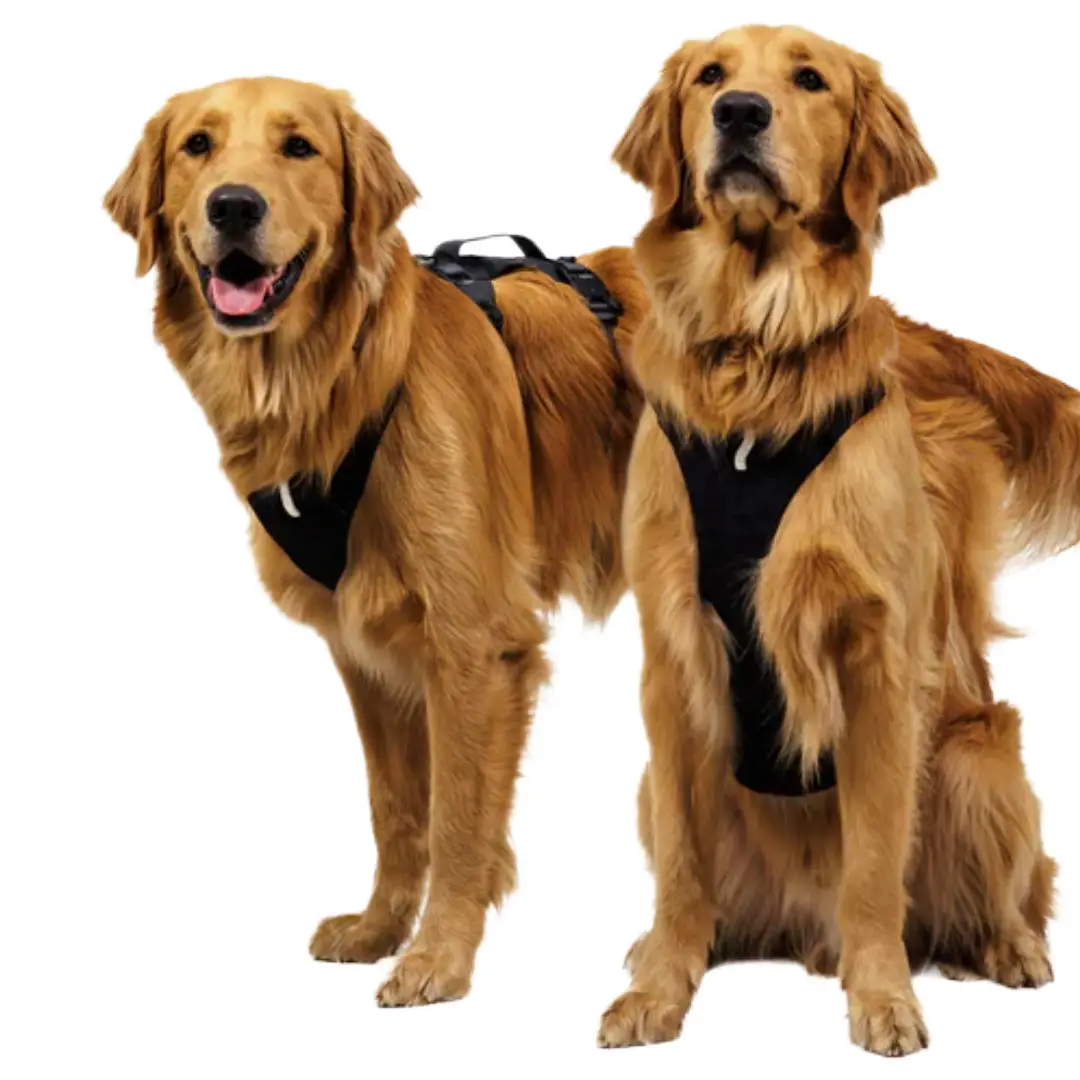 Ruffwear Hundesele Ridgeline Fidlock Obsidian Black - Billede 7