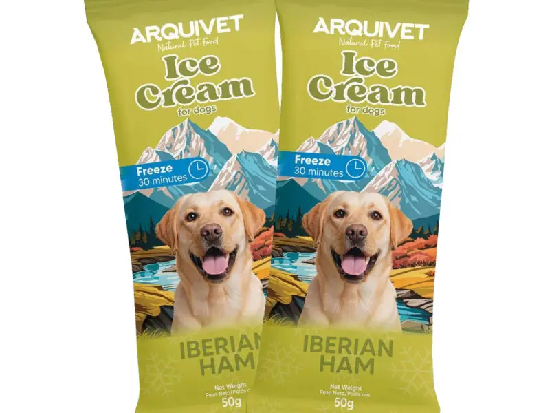 Arquivet Ice Cream Hundeis Med Skinke 50 g
