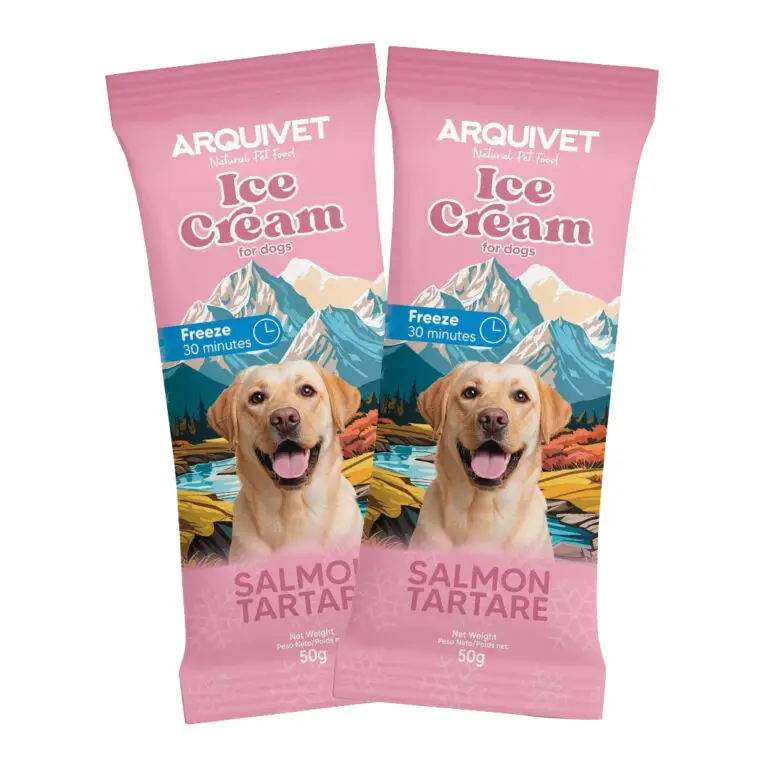 Arquivet Ice Cream Hundeis Med Laks 50 g