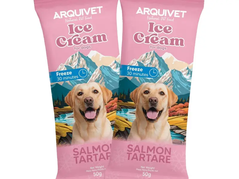 Arquivet Ice Cream Hundeis Med Laks 50 g