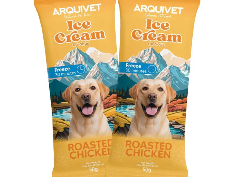 Arquivet Ice Cream Hundeis Med Kylling 50 g