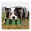 Essential Vådfoder Superior Living Pate 400 g