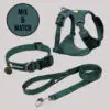 Ruffwear Front Range Flex Deep Teal