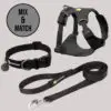 Ruffwear Front Range Flex Basalt Grey