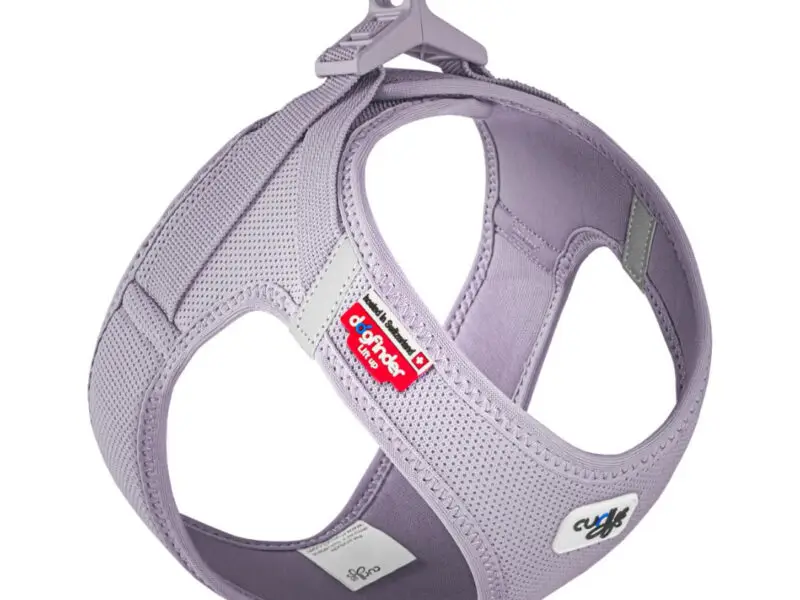 Curli Air-Mesh Vest Step-In Hundesele Violet