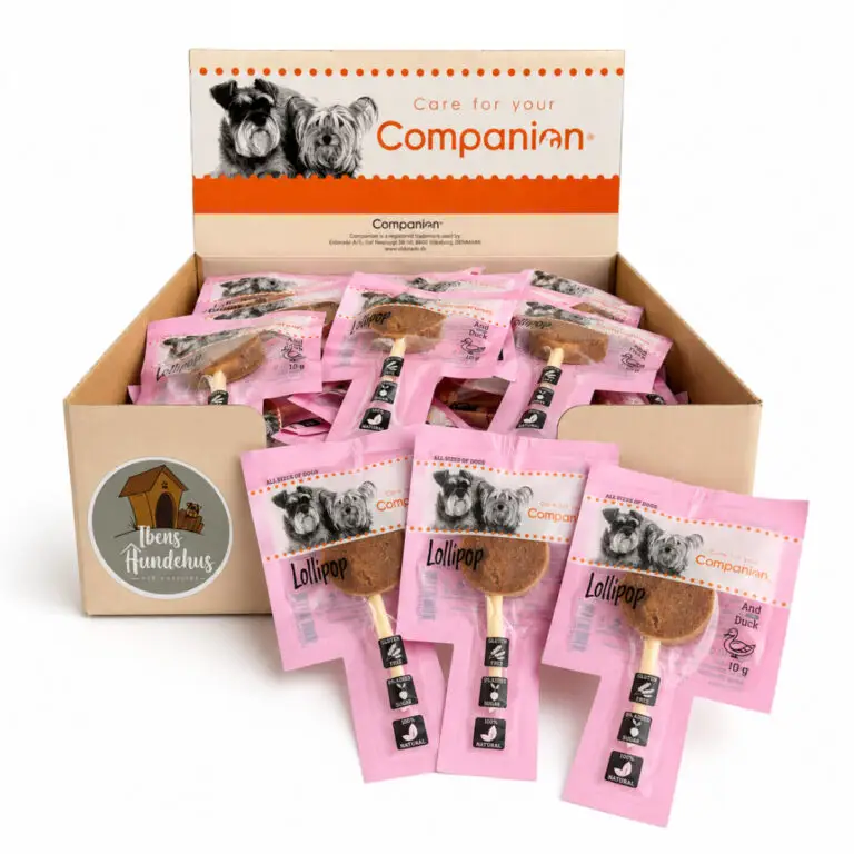Companion Slikkepind Tilbud And Kasse M/60 stk