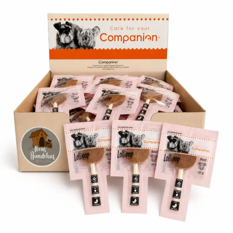 Companion Slikkepind Tilbud Okse Kasse M/60 stk