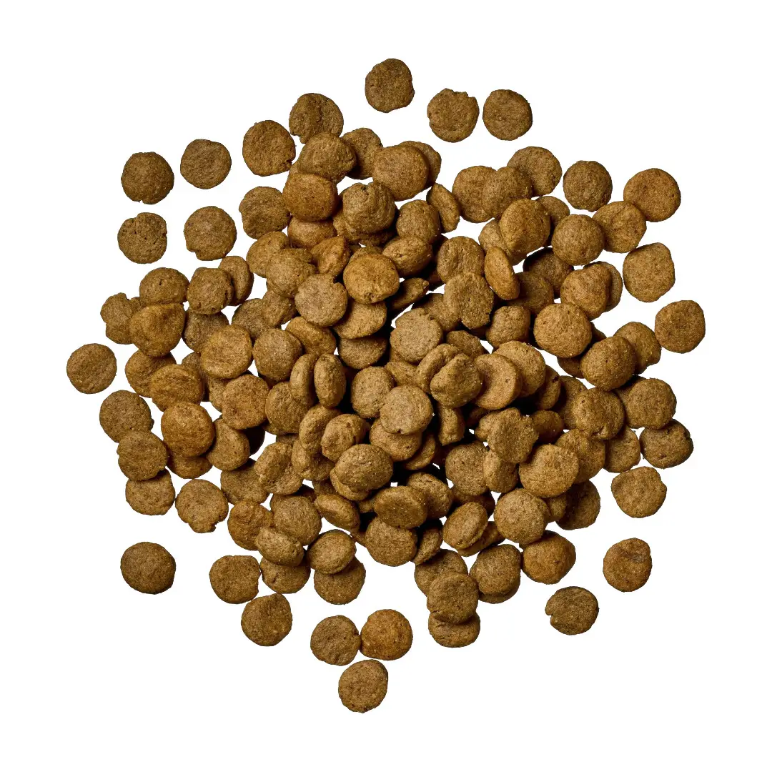 Globe Buddy Brown Hundefoder Med Insektprotein 2,5 kg - Billede 2